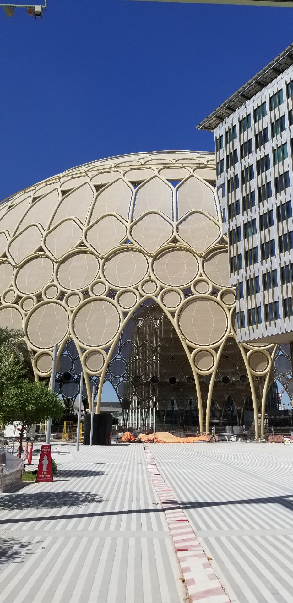 The completed Al Wasl dome trellis, Expo 2020 Dubai.